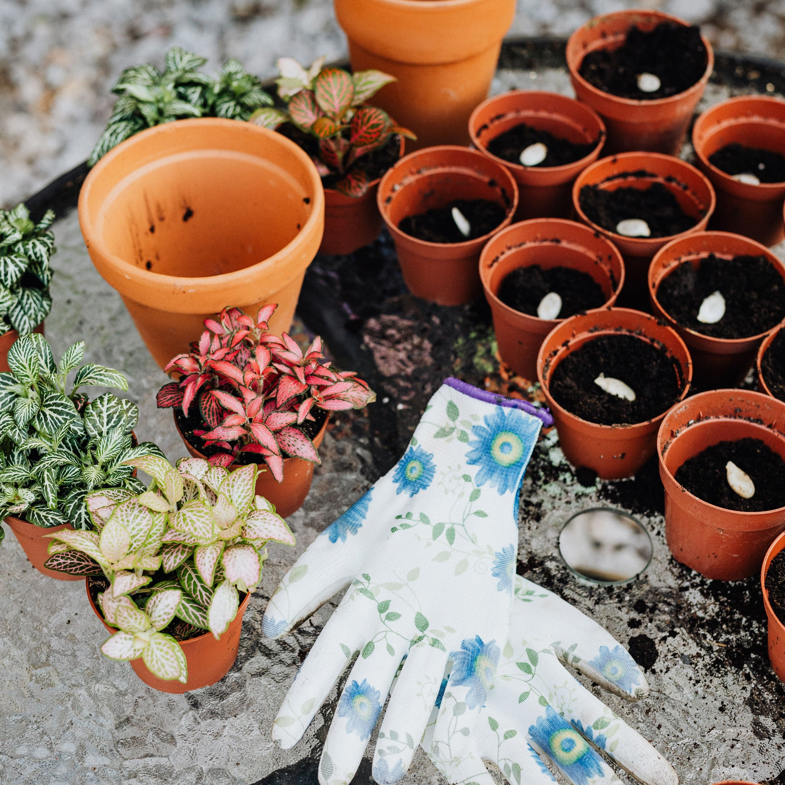 Tuinaccessoires