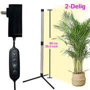 FloraFluxi