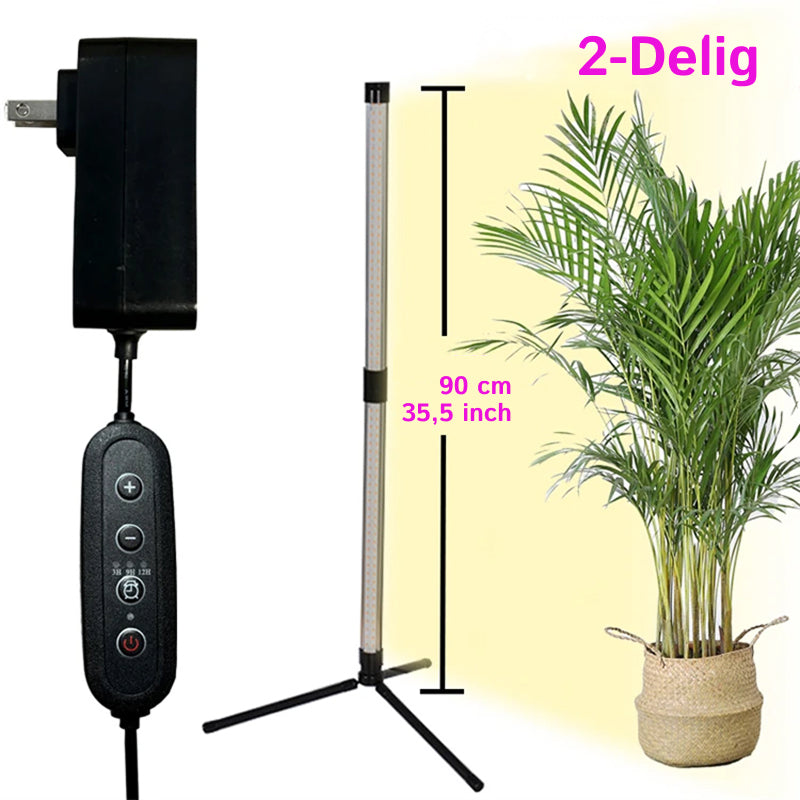 FloraFluxi
