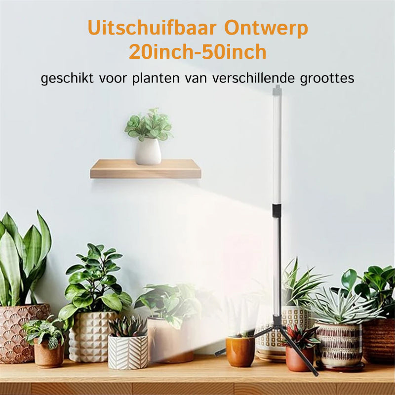 FloraFluxi