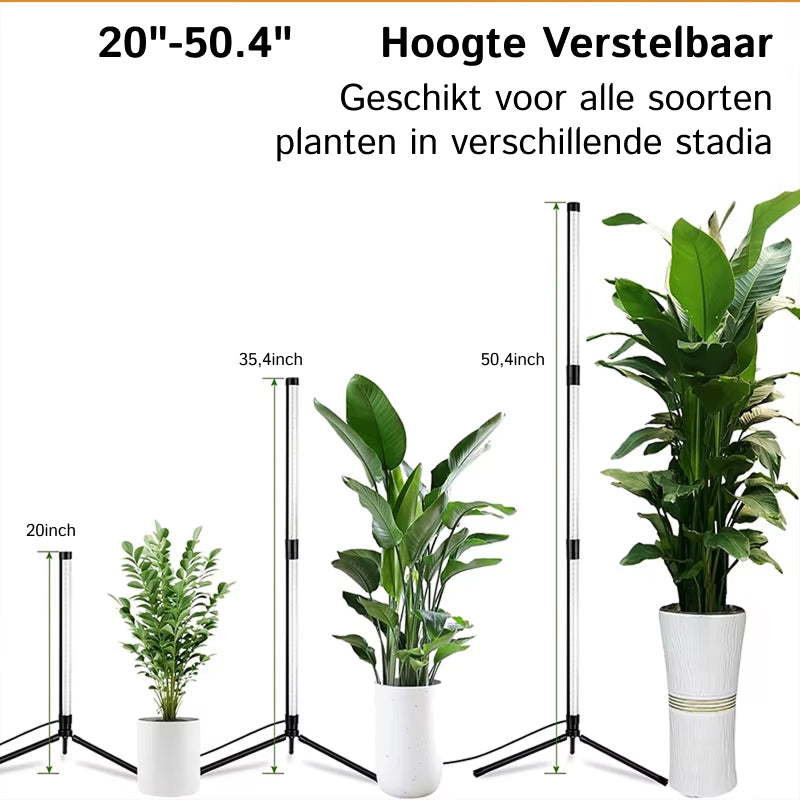FloraFluxi