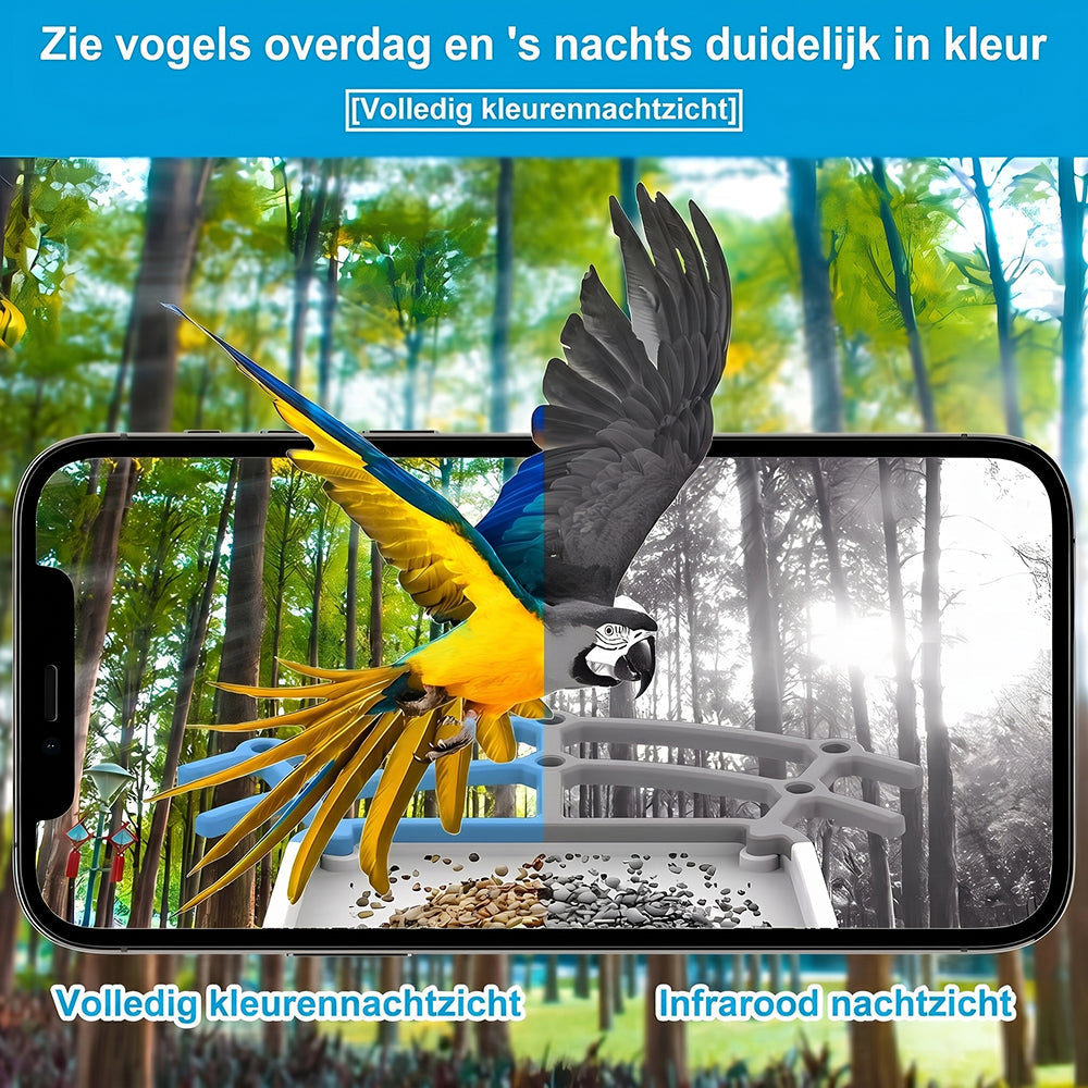 NestoLenzi